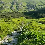 Apartmán Brhliska *