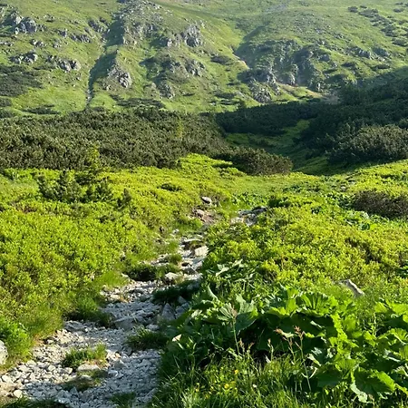 Apartment Brhliska *