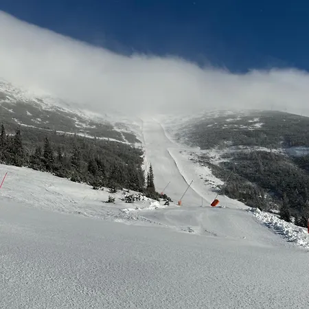 Apartment Brhliska *