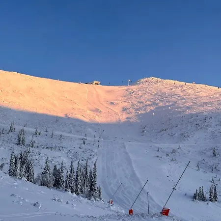 Brhliska * Demanovska Dolina