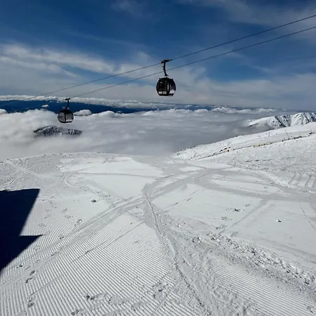 Brhliska Demänovská Dolina