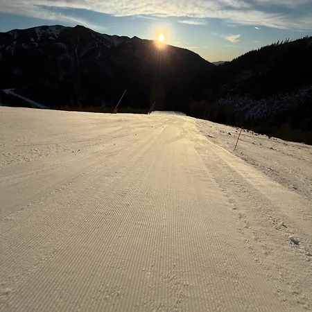 Brhliska * Demanovska Dolina