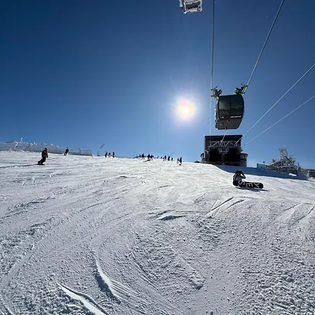 Apartment Brhliska *