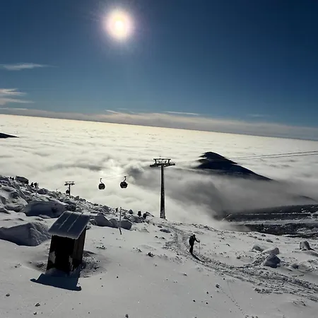 Brhliska Demanovska Dolina