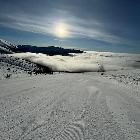 Brhliska Apartment *